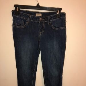 True Religion Dark Denim Skinny Jeans